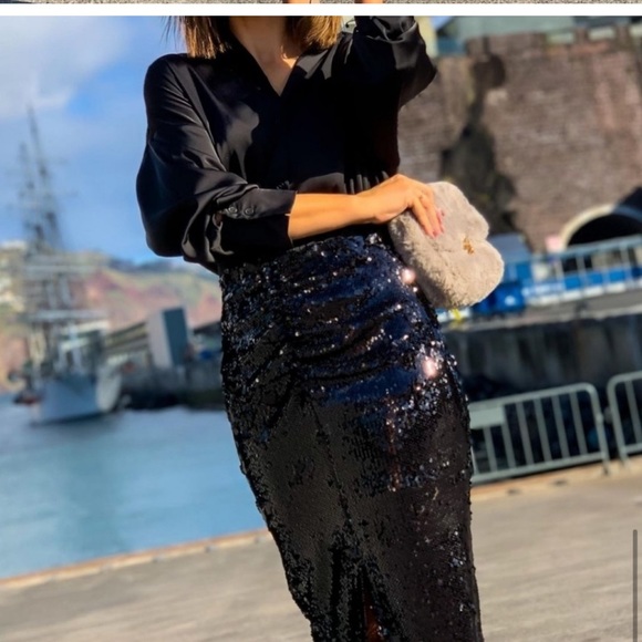 ZARA Ruched Sequin Skirt - Picture 2 of 12